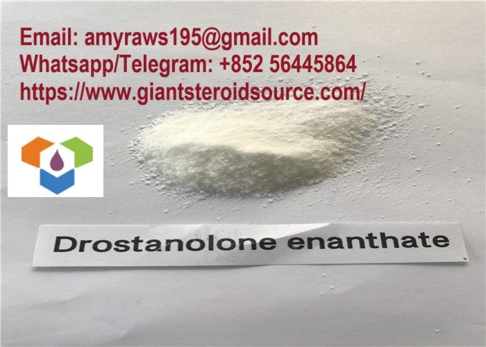 Drostanolone Enanthate پاؤڈر