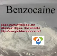 بینزوکین پاؤڈر اعلی معیار