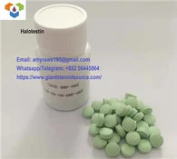 Halotestin 10mg*100 تکمیل شدہ ٹیبلٹ