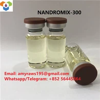 2022 نینڈرو مکس-300